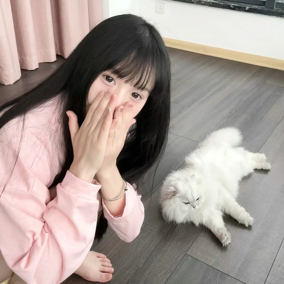 崩坏的教育现场战斗的校园律师